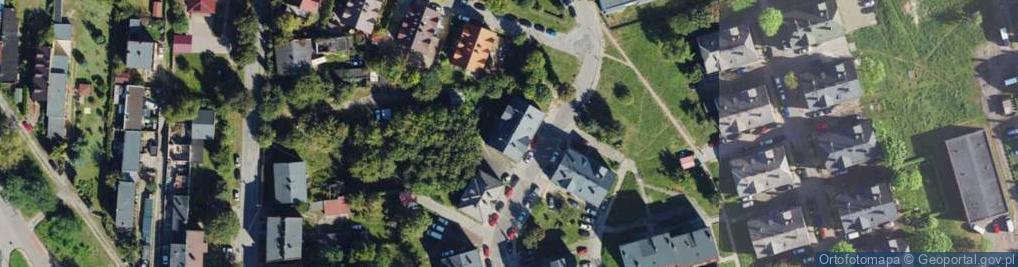 Zdjęcie satelitarne Krzywa ul.