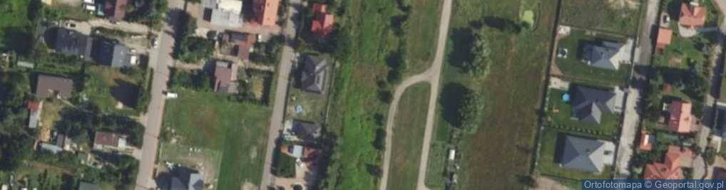 Zdjęcie satelitarne Krzywa ul.