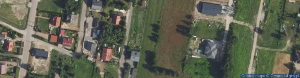 Zdjęcie satelitarne Krzywa ul.