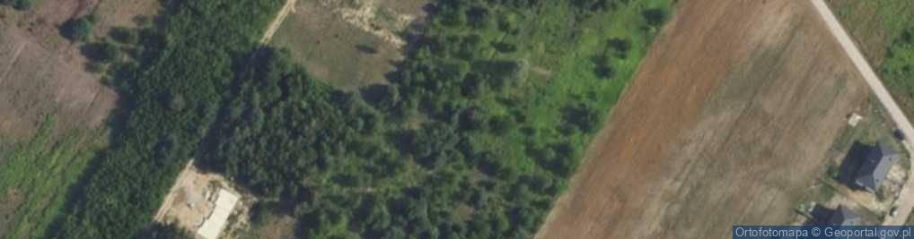 Zdjęcie satelitarne Krosandry ul.