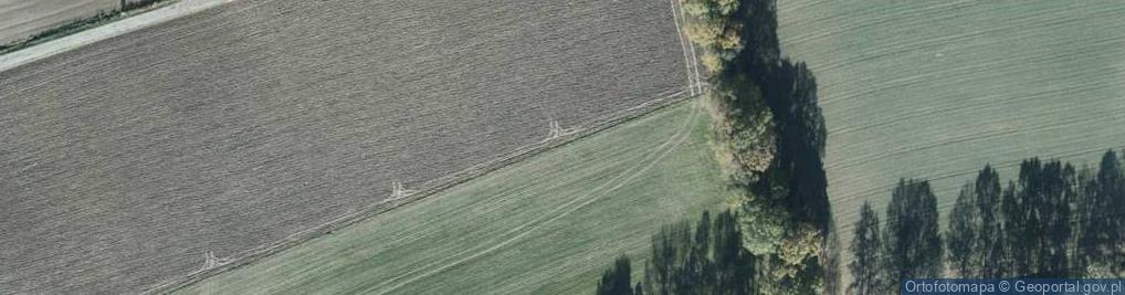 Zdjęcie satelitarne Kręta ul.