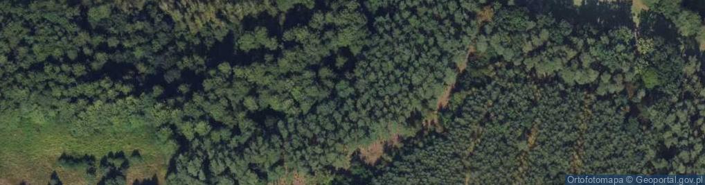 Zdjęcie satelitarne Kruszyńska ul.