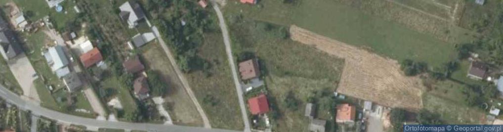 Zdjęcie satelitarne Krzywa ul.