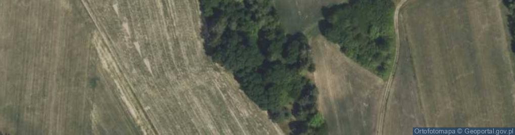 Zdjęcie satelitarne Krótka ul.