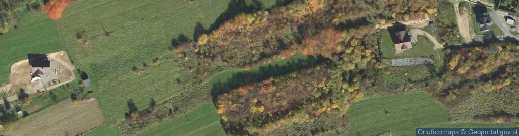 Zdjęcie satelitarne Króla Kazimierza Wielkiego ul.