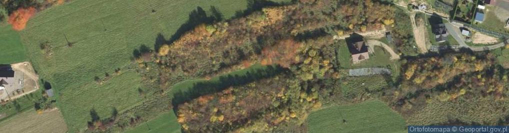 Zdjęcie satelitarne Króla Kazimierza Wielkiego ul.