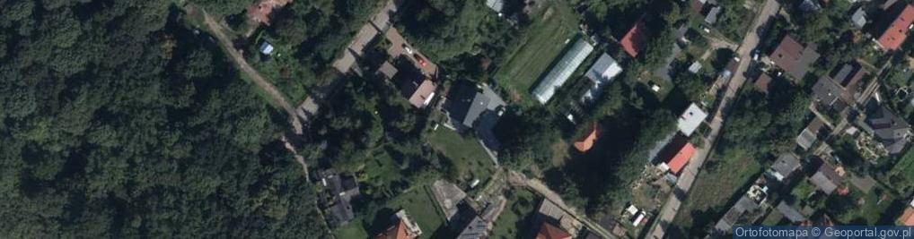 Zdjęcie satelitarne Krzywa ul.