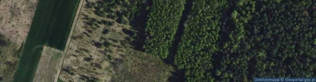 Zdjęcie satelitarne Kruszyńska ul.