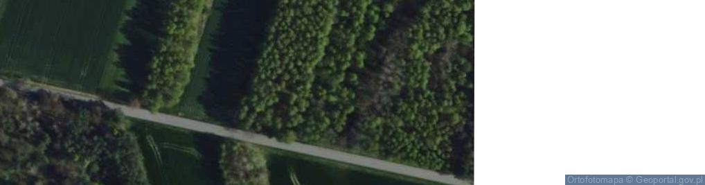Zdjęcie satelitarne Kruszyńska ul.