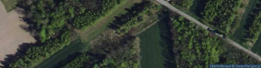 Zdjęcie satelitarne Kruszyńska ul.
