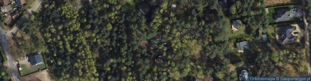 Zdjęcie satelitarne Krzywa ul.