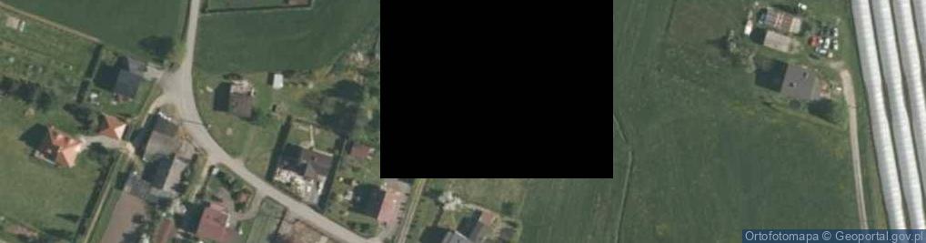 Zdjęcie satelitarne Krzywa ul.
