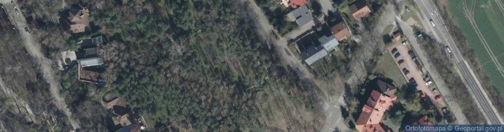 Zdjęcie satelitarne Króla Jana III Sobieskiego ul.