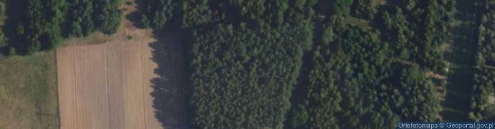 Zdjęcie satelitarne Królewska ul.