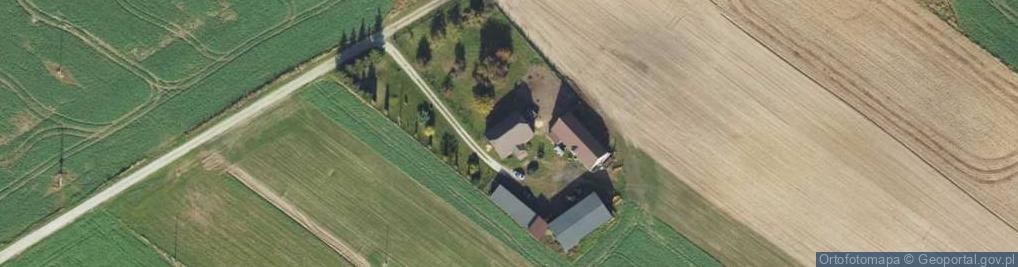 Zdjęcie satelitarne Krąpiewo ul.