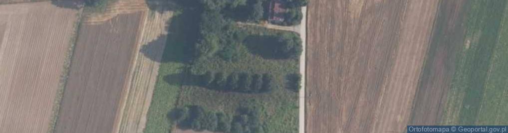 Zdjęcie satelitarne Krępa ul.