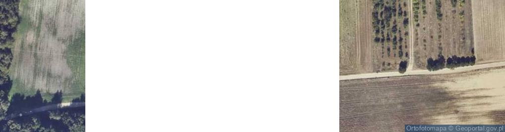 Zdjęcie satelitarne Krępa ul.