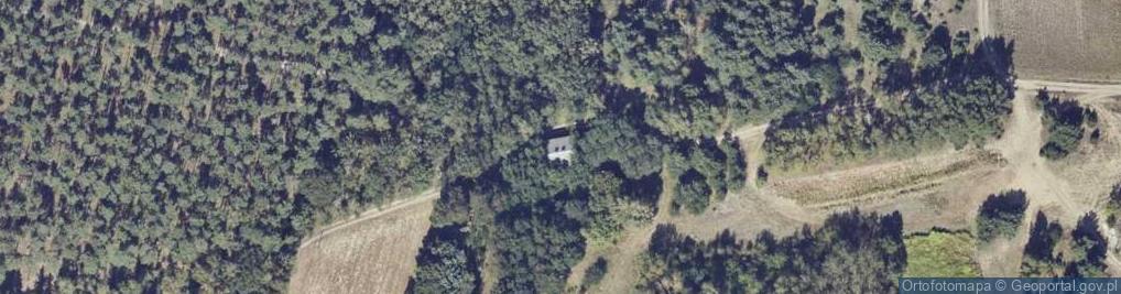 Zdjęcie satelitarne Krępa ul.