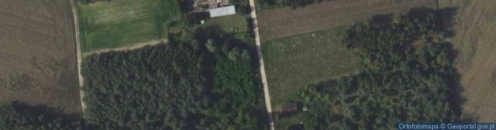 Zdjęcie satelitarne Krogule ul.