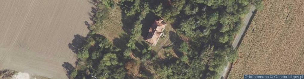 Zdjęcie satelitarne Królewiec ul.