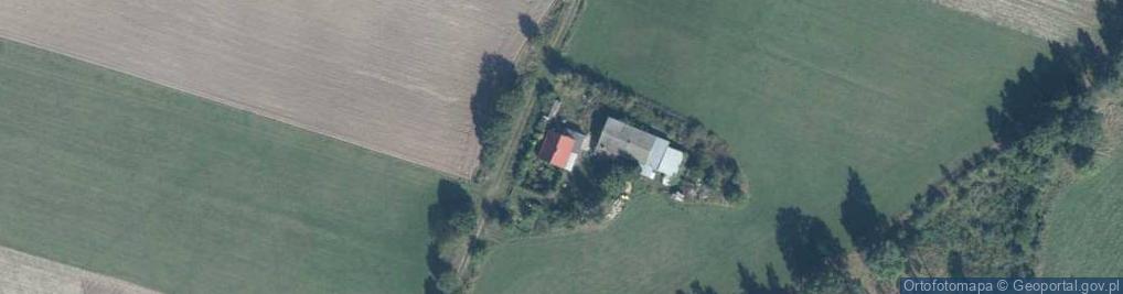 Zdjęcie satelitarne Krucz ul.