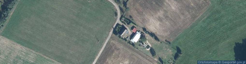 Zdjęcie satelitarne Krucz ul.