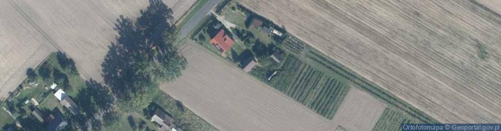 Zdjęcie satelitarne Krucz ul.