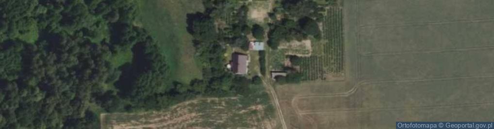 Zdjęcie satelitarne Kruszczewo ul.