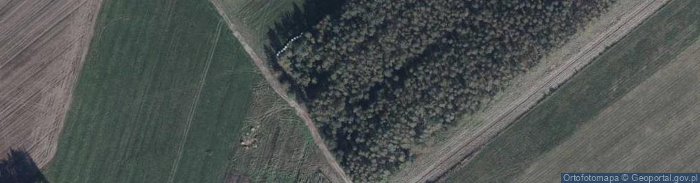 Zdjęcie satelitarne Kruszówka ul.