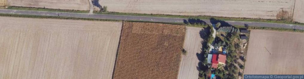 Zdjęcie satelitarne Kruszynek ul.