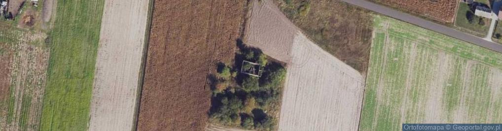 Zdjęcie satelitarne Kruszynek ul.