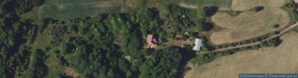 Zdjęcie satelitarne Krynice ul.