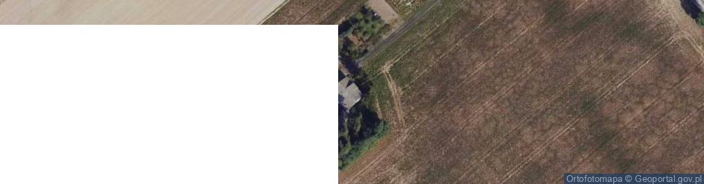 Zdjęcie satelitarne Kryńsk ul.