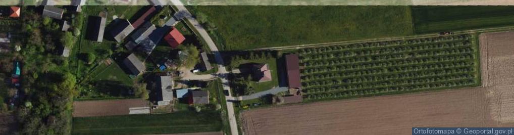 Zdjęcie satelitarne Krzcin ul.