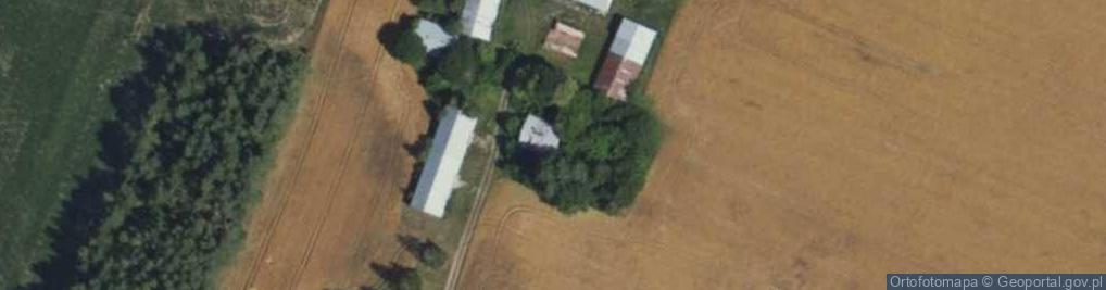 Zdjęcie satelitarne Krzeczkowo ul.