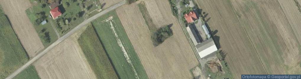 Zdjęcie satelitarne Krzesimów ul.