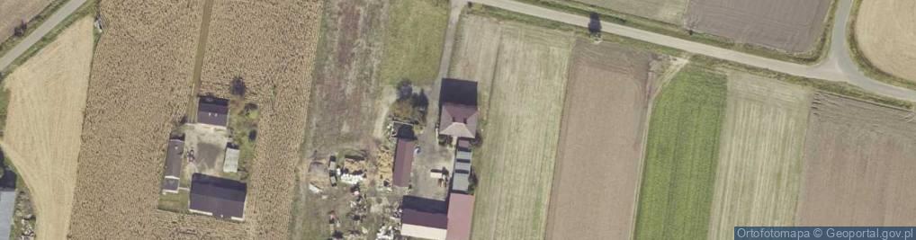 Zdjęcie satelitarne Krzewata ul.