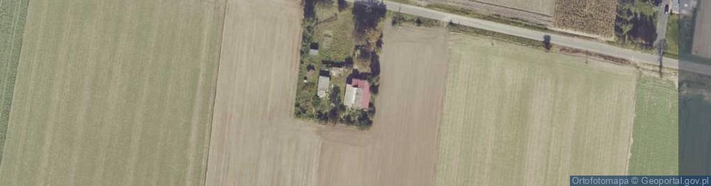 Zdjęcie satelitarne Krzewata ul.