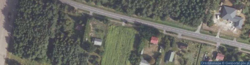 Zdjęcie satelitarne Krzyczew ul.