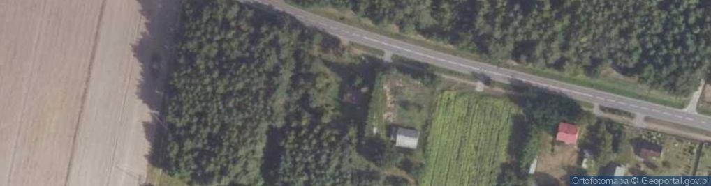 Zdjęcie satelitarne Krzyczew ul.