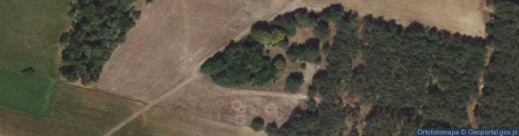 Zdjęcie satelitarne Krzymów ul.