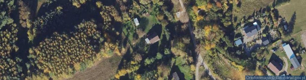 Zdjęcie satelitarne Krzywa Wieś ul.