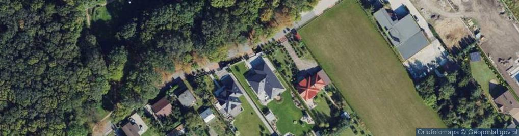 Zdjęcie satelitarne Krzywa ul.