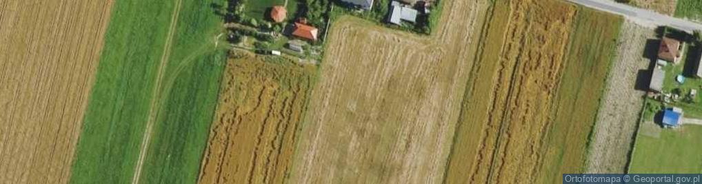 Zdjęcie satelitarne Króla Lwa ul.