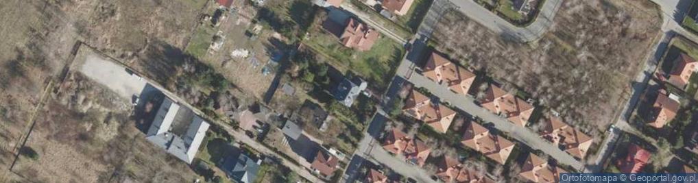 Zdjęcie satelitarne Krzywa ul.