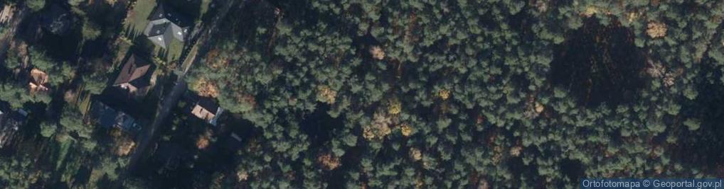 Zdjęcie satelitarne Krańcowa ul.