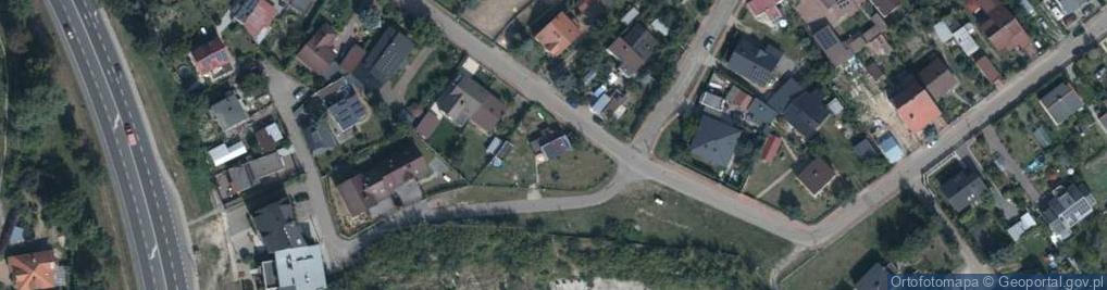 Zdjęcie satelitarne Krzywa ul.