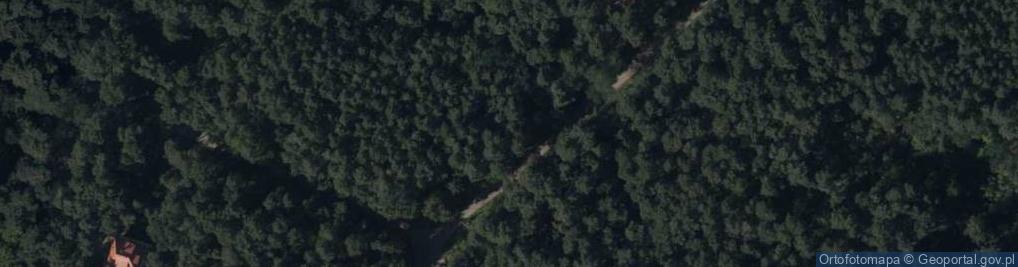 Zdjęcie satelitarne Krasińskiego Zygmunta ul.