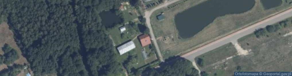 Zdjęcie satelitarne Krzywa ul.