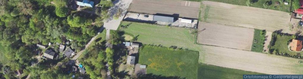 Zdjęcie satelitarne Krzywa ul.
